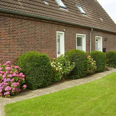 شقة In 20-085 دورنوميرسيال